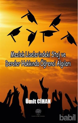 Picture of Meslek Liselerindeki Staj ve Dersler Hakkında Öğrenci Algıları