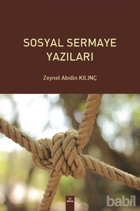 Picture of Sosyal Sermaye Yazıları