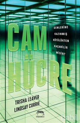 Picture of Cam Hücre