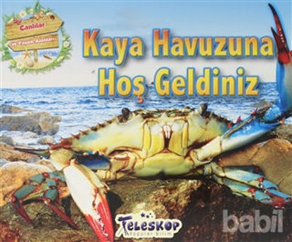 Picture of Kaya Havuzuna Hoş Geldiniz - Canlılar ve Yaşam Alanları