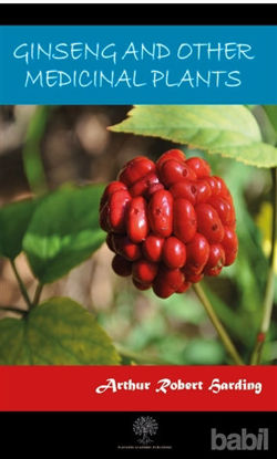 Picture of Ginseng And Other Medicinal Plants