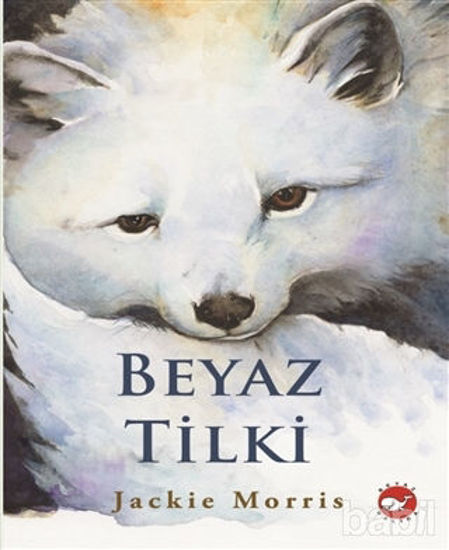 Picture of Beyaz Tilki