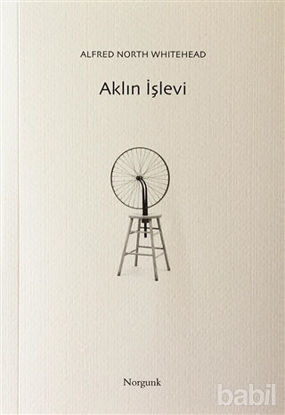 Picture of Aklın İşlevi