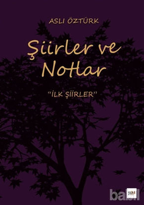 Picture of Şiirler ve Notlar