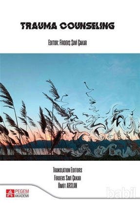 Picture of Trauma Counseling