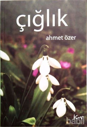 Picture of Çığlık