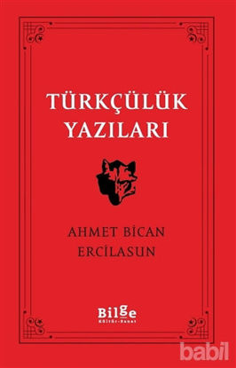 Picture of Türkçülük Yazıları