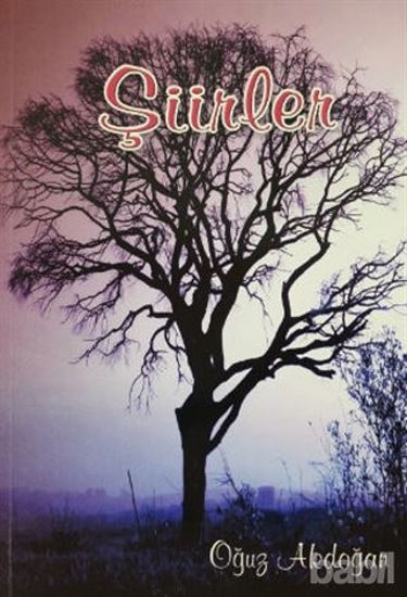 Picture of Şiirler 1
