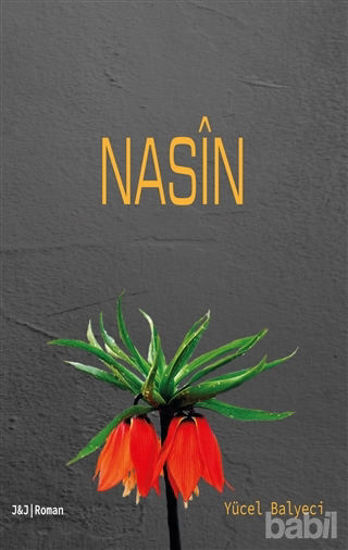 Picture of Nasin