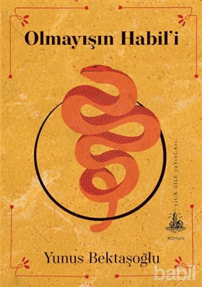 Picture of Olmayışın Habil’i