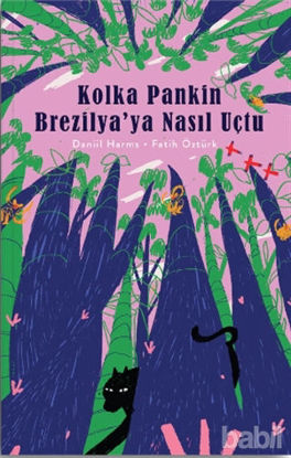 Picture of Kolka Pankin Brezilya’ya Nasıl Uçtu