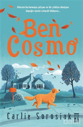 Picture of Ben Cosmo
