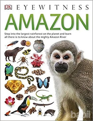 Picture of Amazon