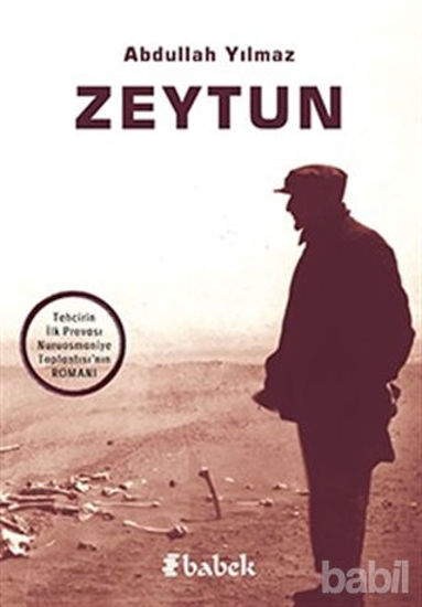 Picture of Zeytun