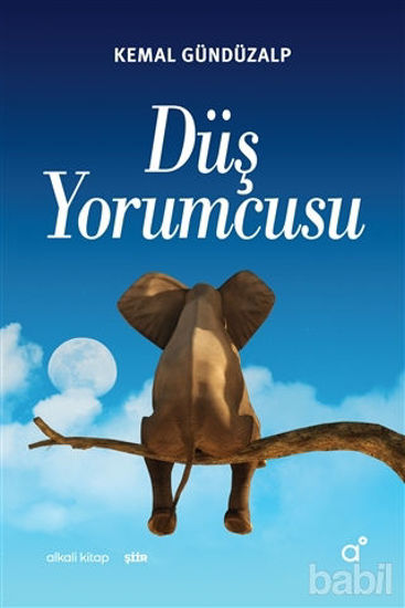 Picture of Düş Yorumcusu