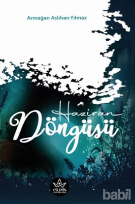 Picture of Haziran Döngüsü