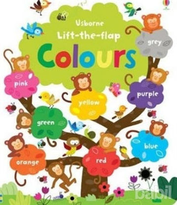 Picture of Lift The Flap Colours Book