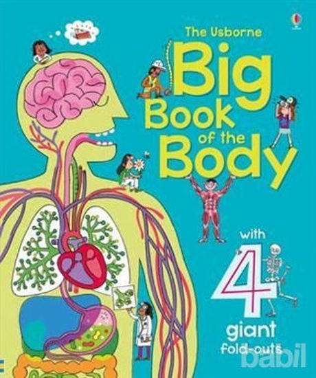 Picture of Big Book of the Body