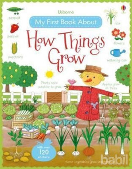 Picture of My First Book About How Things Grow